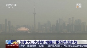 世界杯直播_世界杯直播在线看入口平台_世界杯直播无插件高清赛事视频