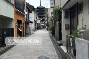世界杯直播_世界杯在线直播_2026世界杯无插件直播